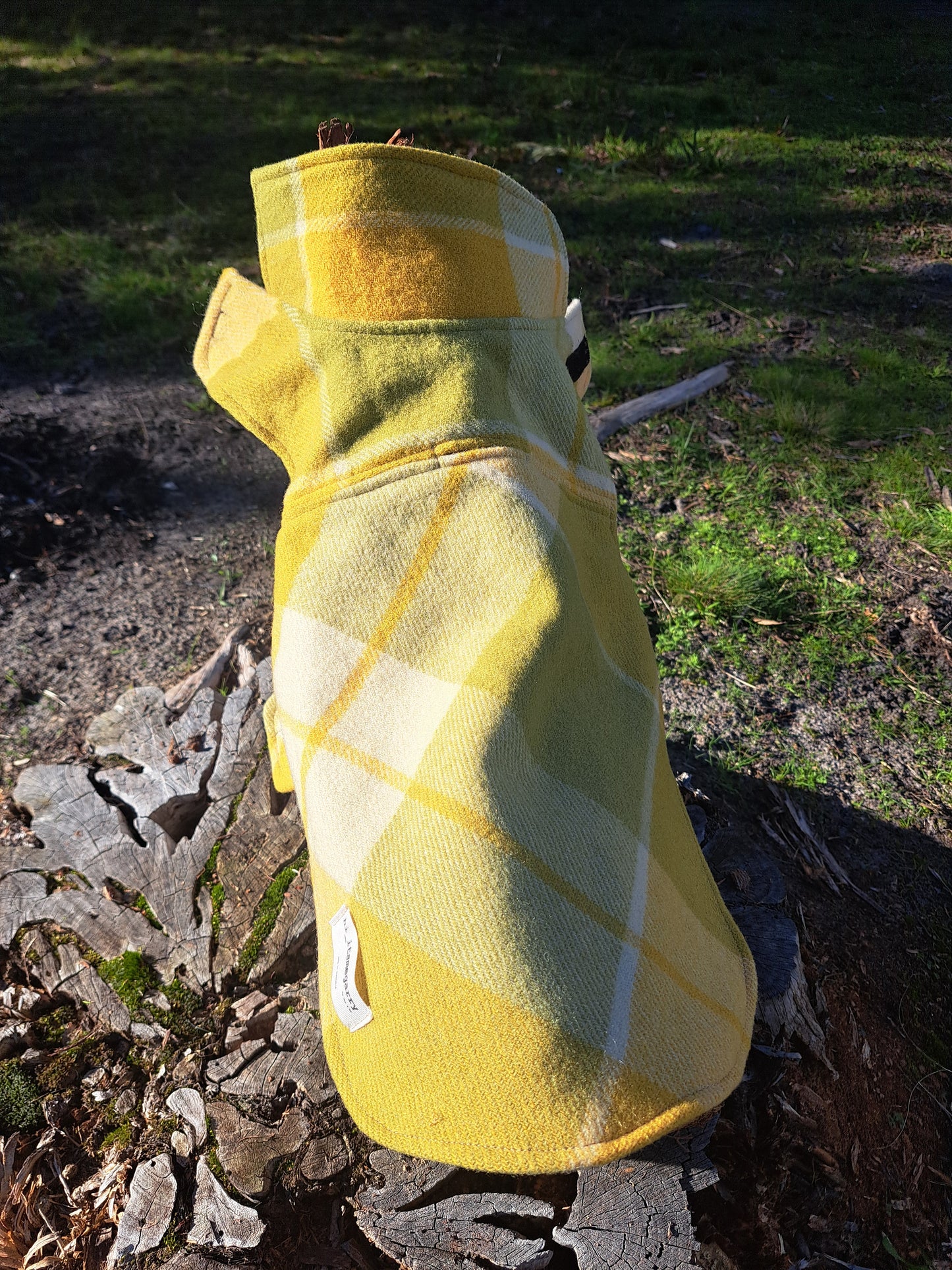 Dog Coats
