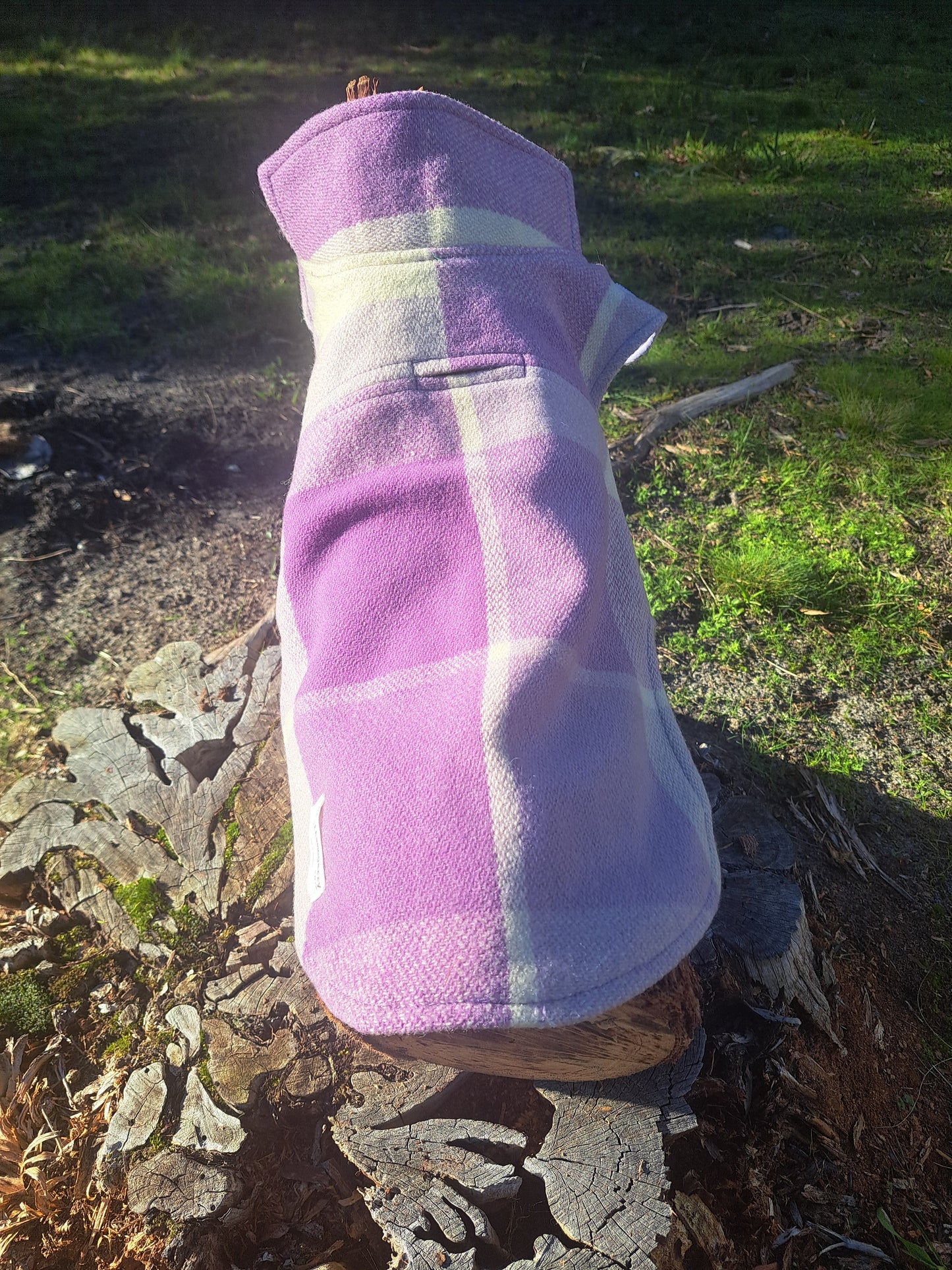 Dog Coats