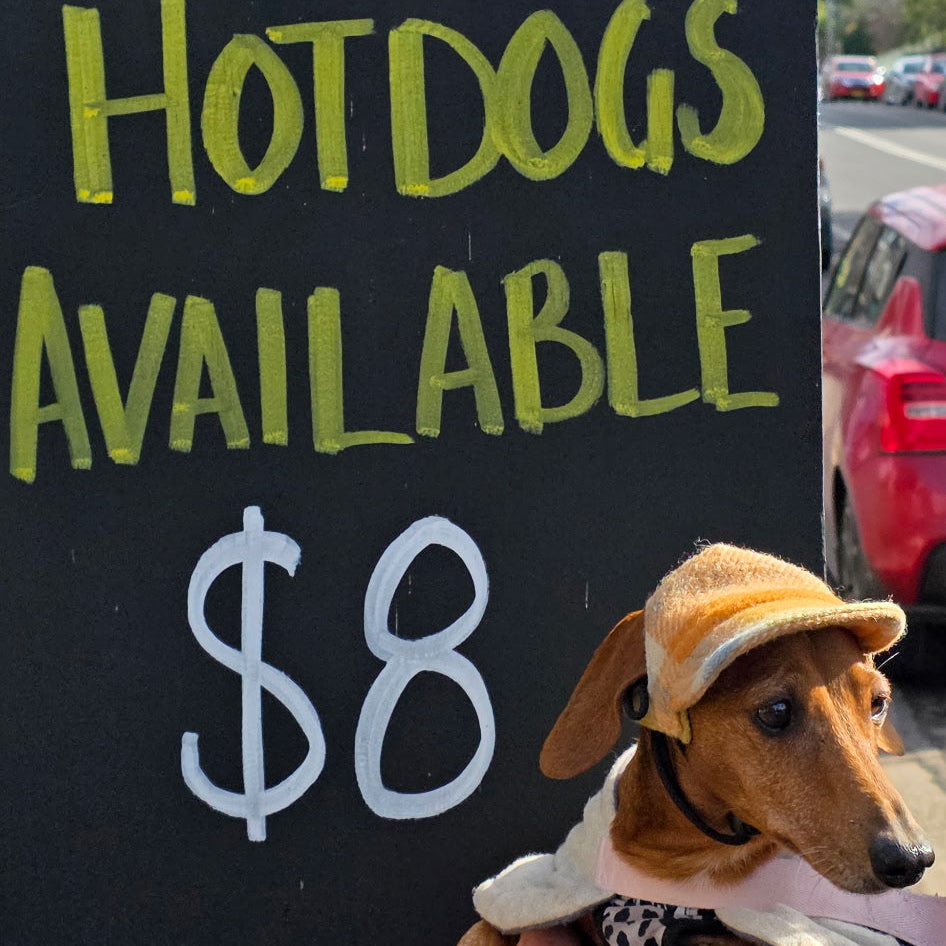 A dachshund wearing a small tan hat and white shirt stands in front of a black sign that reads 'HOTDOGS AVAILABLE $8' in yellow and white lettering. A person's arm is visible holding the dog, with an outdoor street scene in the background.