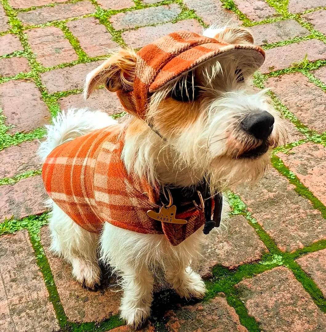 Heritage Hound Hats